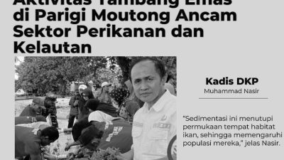 Aktivitas Tambang Emas di Parigi Moutong Ancam Sektor Perikanan dan Kelautan