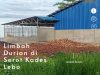 Limbah Durian di Sorot Kades Lebo