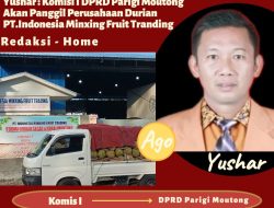Yushar : Komisi I DPRD Parigi Moutong Akan Panggil Perusahaan Durian PT.Indonesia Minxing Fruit Tranding
