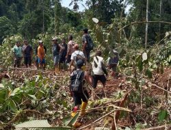 Tujuh Warga Diduga Tewas Tertimbun Longsor di Hutan Gunung Talenga Bolano Lambunu, Dua Jenazah Ditemukan,Satu Korban Teridentifikasi