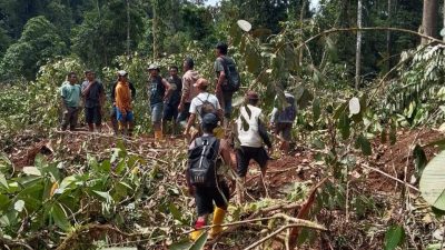 Tujuh Warga Diduga Tewas Tertimbun Longsor di Hutan Gunung Talenga Bolano Lambunu, Dua Jenazah Ditemukan,Satu Korban Teridentifikasi