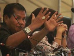 Husen Mardjengi Singa Parlemen,  Sembur Kritik Wabup Parimo
