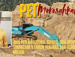 Bos PETI Kayuboko, Sipayo, dan Moutong Terancam 5 Tahun Penjara dan Denda Rp100 Miliar