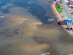 Lumpur Tambang Kayuboko Diduga Rusak 2000 Terumbu Karang di Parimo