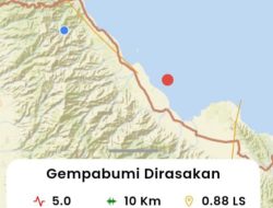 Gempa Magnitudo 5,0 Guncang Parimo, BMKG Pastikan Tidak Berpotensi Tsunami