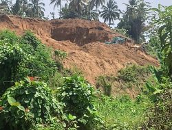 Tambang Ilegal di Desa Torono Mentawa di Duga Milik Cawi,Ambon dan Kholik
