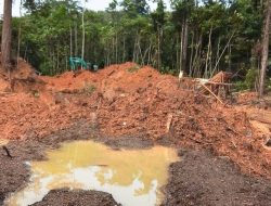 DPN Parimo Terima Puluhan Laporan Tambang Ilegal Lewat Program #JagaParimo