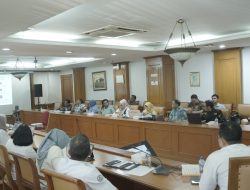 Zulfinasran Audiensi ke Kemedes PDTT