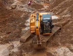 PETI Lambunu Diduga Dibekingi Oknum Bhabinkamtibmas, Nama Darto dan Ibu Temi Menguat