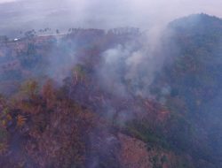 Karhutla Merebak, 14 Titik Terbakar di Parigi Moutong