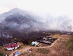 Karhutla Landa Desa Avolua, 20 Hektare Lahan Terbakar