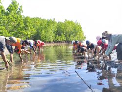 Tekan Risiko Bencana, Penanaman Mangrove Jadi Solusi Berkelanjutan Wilayah Pesisir