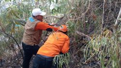 Api Landa Perkebunan Warga Kasimbar, Tim Gabungan Bergerak Cepat Selamatkan Lahan