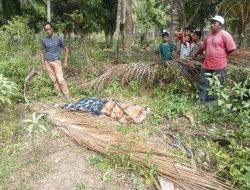 Pelajar SMP Ditemukan Meninggal Dunia di Kebun Kelapa, Polisi Lakukan Penyelidikan