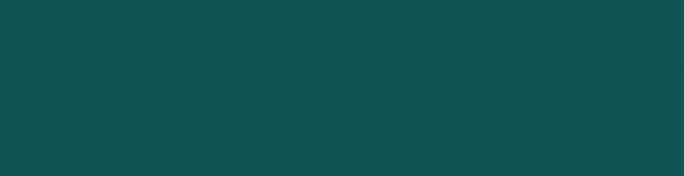 Example 970x250 Example 728x250