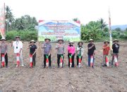 Polres Parigi Moutong Tanam Jagung Bersama Petani, Kapolres Turun Langsung ke Lahan