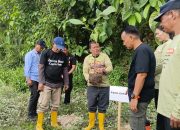 Wabup Abdul Sahid: Jangan Berhenti di Seremonial, Rawat Pohon Hingga Tumbuh