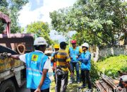 PLN Parigi Siap Tebang Pohon Rawan, Ajak Pemda Perkuat Kolaborasi