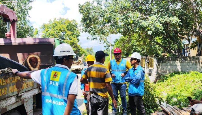 PLN Parigi Siap Tebang Pohon Rawan, Ajak Pemda Perkuat Kolaborasi