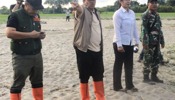 Banjir Rusak Sawah Siap Panen di Torue, Wabup Abdul Sahid Pastikan Penanganan Darurat Dipercepat