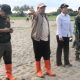 Banjir Rusak Sawah Siap Panen di Torue, Wabup Abdul Sahid Pastikan Penanganan Darurat Dipercepat