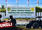 Dugaan Pungli Alsintan di Parigi Moutong Disorot, Petani Disebut Diminta hingga Rp70 Juta
