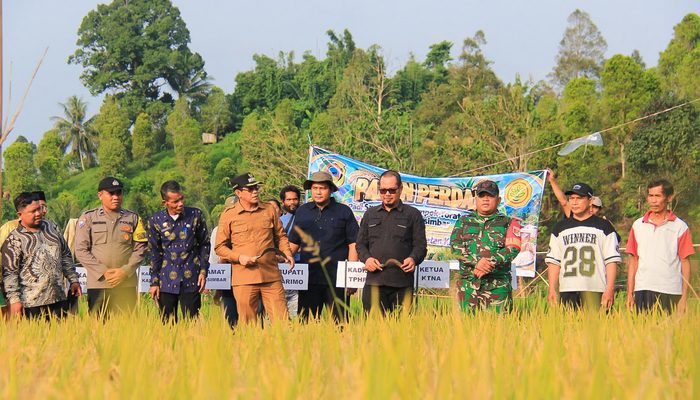 Panen Perdana Cetak Sawah 5 Hektare, Bupati Parigi Moutong Soroti Penurunan Surplus Beras